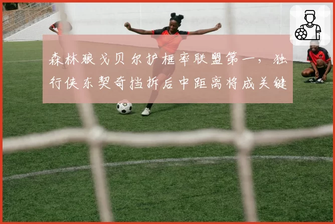 森林狼戈贝尔护框率联盟第一，独行侠东契奇挡拆后中距离将成关键变量