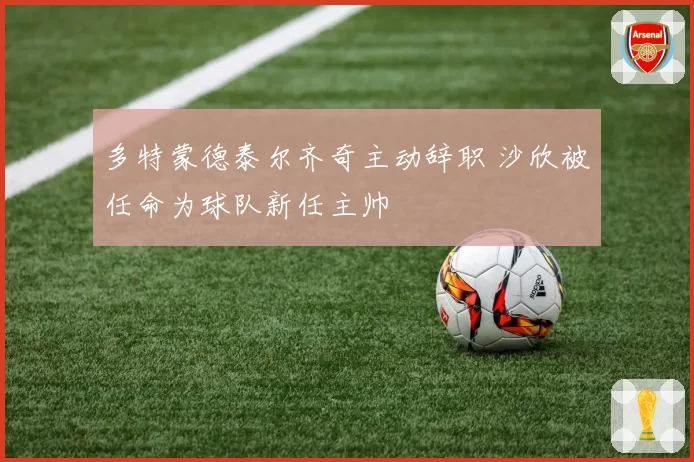 多特蒙德泰尔齐奇主动辞职 沙欣被任命为球队新任主帅