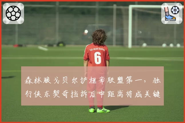 森林狼戈贝尔护框率联盟第一，独行侠东契奇挡拆后中距离将成关键变量