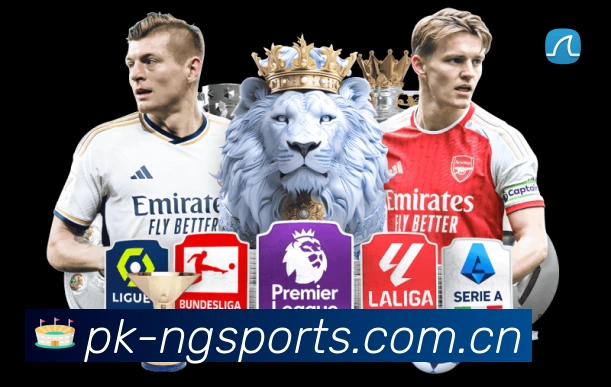 体育平台欢迎图